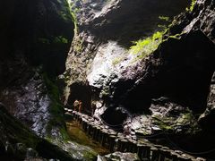 -牛背梁国家森林公园