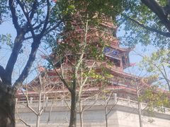 -厦门园林博览苑