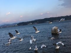 -大理国际奥林匹克体育中心