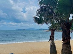 -大梅沙海滨公园