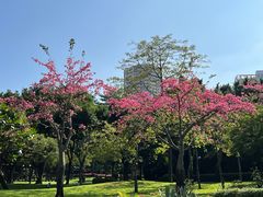 -晓港公园