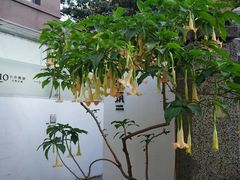 -厦门良筑精品酒店(厦门中山路店)