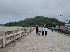 -野狸岛