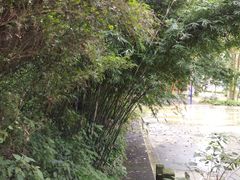 -两江幸福广场