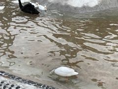 -珠海海泉湾神秘岛亲子乐园