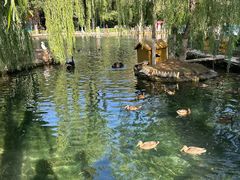-水磨沟公园
