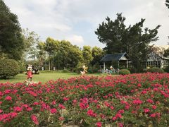 -广东花都香草世界旅游度假区