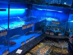 水产区-协成海鲜火锅(海洋花园店)
