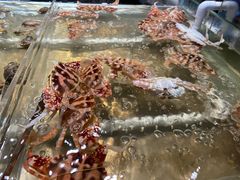 -诱货海鲜自助火锅(爱琴海购物公园东百店)
