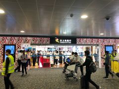 -上海浦东国际机场-T2航站楼