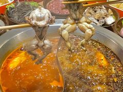 -铭记蛙小仙·活蛙畅享(CBD万达广场店)