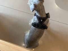 -蜗牛单车咖啡(银座购物广场东城店)