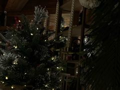 -一棵树·意大利西餐厅One Tree(新城店)