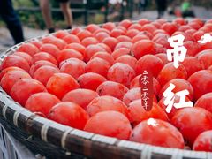 -丹山赤水风景名胜区