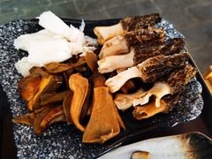 -蘑统田下·野生菌火锅