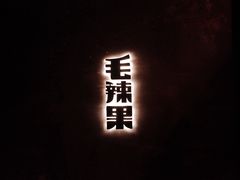 -毛辣果·酸(OHA复兴西路店)