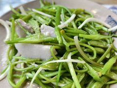 -马帮菜馆·美味野生菌