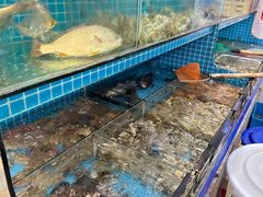 -江南村海鲜馆(洞头店)
