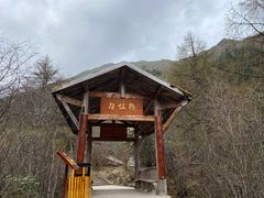 -黄龙山原始森林景区