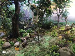 -陕西自然博物馆