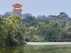 -张坝桂圆林公园
