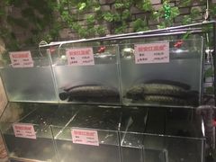 -江南鱼捞(北仑银泰城店)