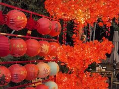 -后湖小院·乡野田园菜