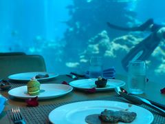 -海棠湾洲际-涛·海底餐厅·美人鱼·自助餐·海底隧道
