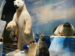 -国家自然博物馆