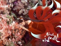 -九月鹰飞汉服摄影工作室