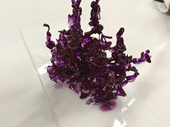 -美斯烘焙培训学院•蛋糕•面包•咖啡(宝安校区)