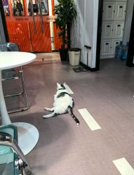 -CICI街舞专业培训