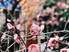 -杭州城北体育公园