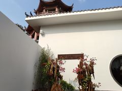 -梧桐山风景名胜区