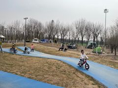 -天津东丽湖风景区