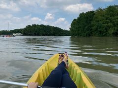 -上海海湾国家森林公园