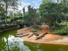 -海南热带野生动植物园