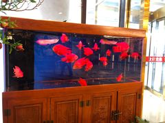 -无名居(西直门总店)