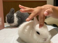 -大象厨房(重庆道店)