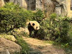 -石排湾郊野公园