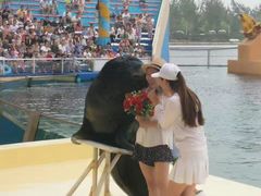 -秦皇岛乐岛海洋王国