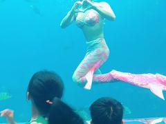 -瑞德姆美人鱼海底演艺主题餐厅(亚龙湾店)