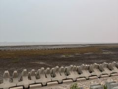 -南汇嘴观海公园