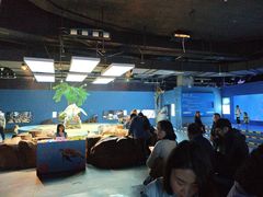 -重庆欢乐海底世界