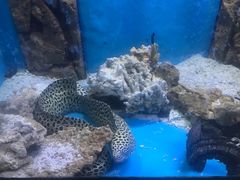 -常州海昌海洋探索馆