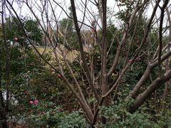 -艾溪湖湿地公园