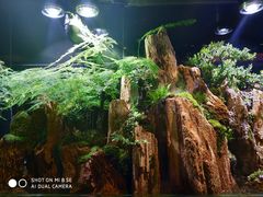 -泰谷酒店·太古码头闽菜自助餐厅