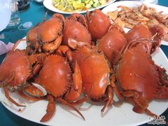 -春秋旅游航空(西藏路分部)