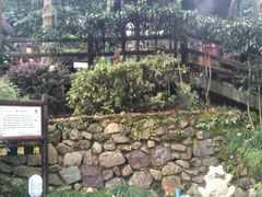 -宁海森林温泉