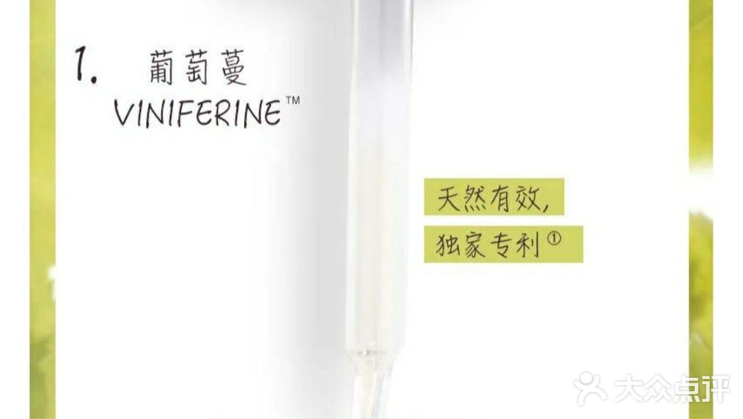 一个试用测评